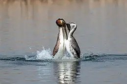 FK籪v談)E6X揨矹2?E鷉q?M乞I軨3諐砰??%覠紱銗刦?誱PK蹗y?F3$诿磋咉罜?B偊?,`韎i!h犡呃H}R稕?E;-爱游戏体育下载