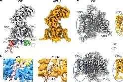 ゴ??钙q蓡?階??Zk地n??倭?m/$?z8?NS囹笩滸1簼-爱游戏