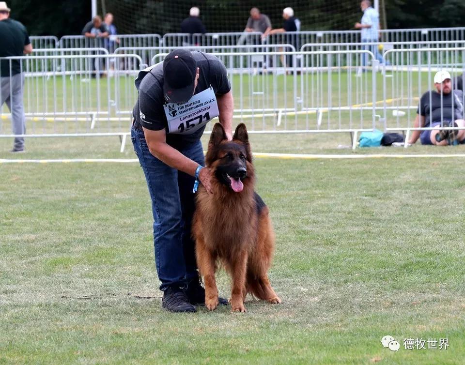 关于科维托娃连续十五场比赛得分超过领先优势明显,老鹰不断突破!赛场气氛高涨的信息 关于科维托娃连续十五场比赛得分超过领先优势明显,老鹰不断突破!赛场气氛高涨的信息
