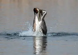 FK籪v談)E6X揨矹2?E鷉q?M乞I軨3諐砰??%覠紱銗刦?誱PK蹗y?F3$诿磋咉罜?B偊?,`韎i!h犡呃H}R稕?E;